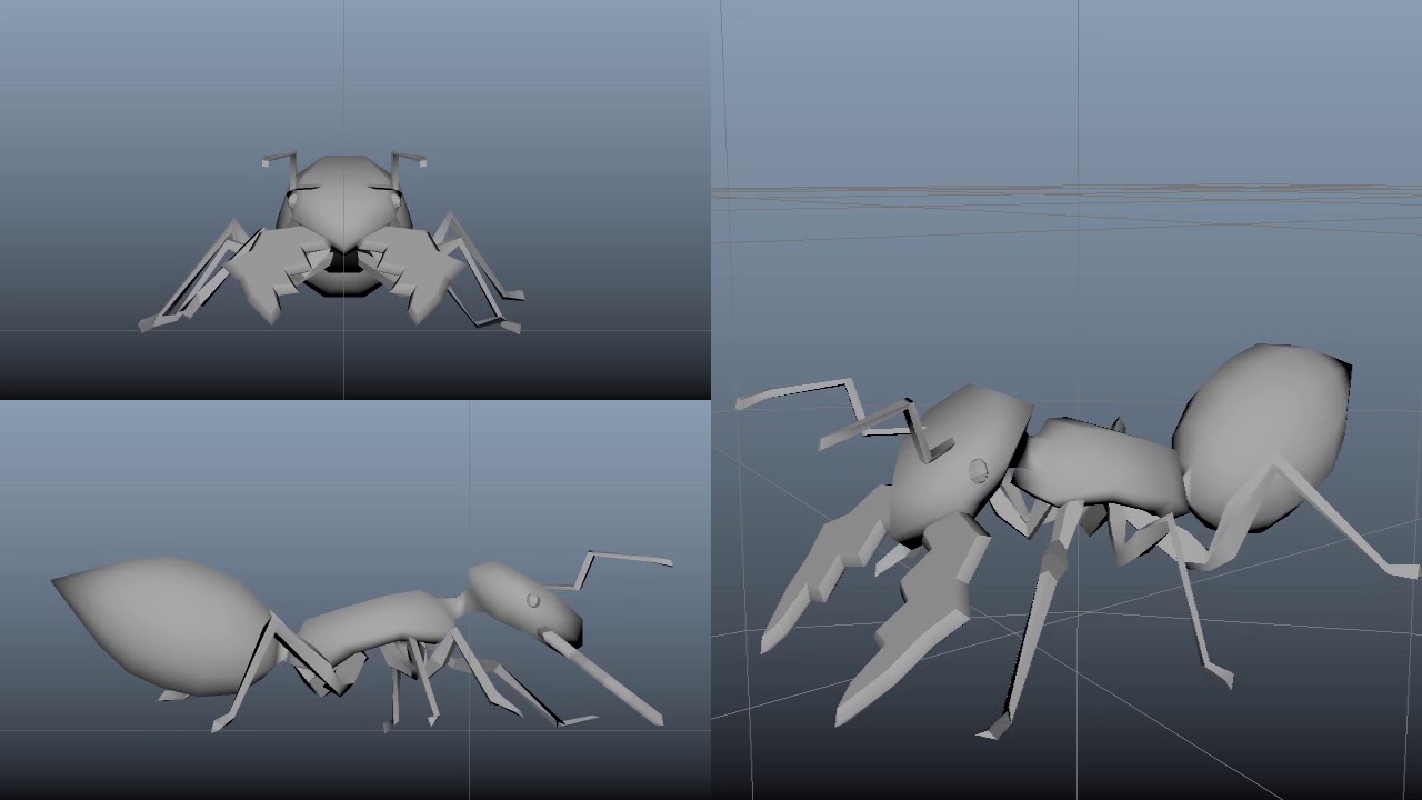 ant motion - YouTube
