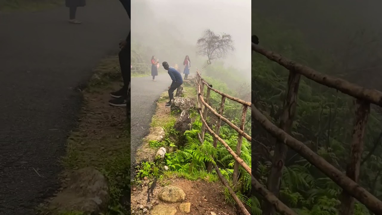 Kerala view |rose Mala |