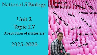 National 5 Biology: 2.7 Absorption of Materials - Full Lesson