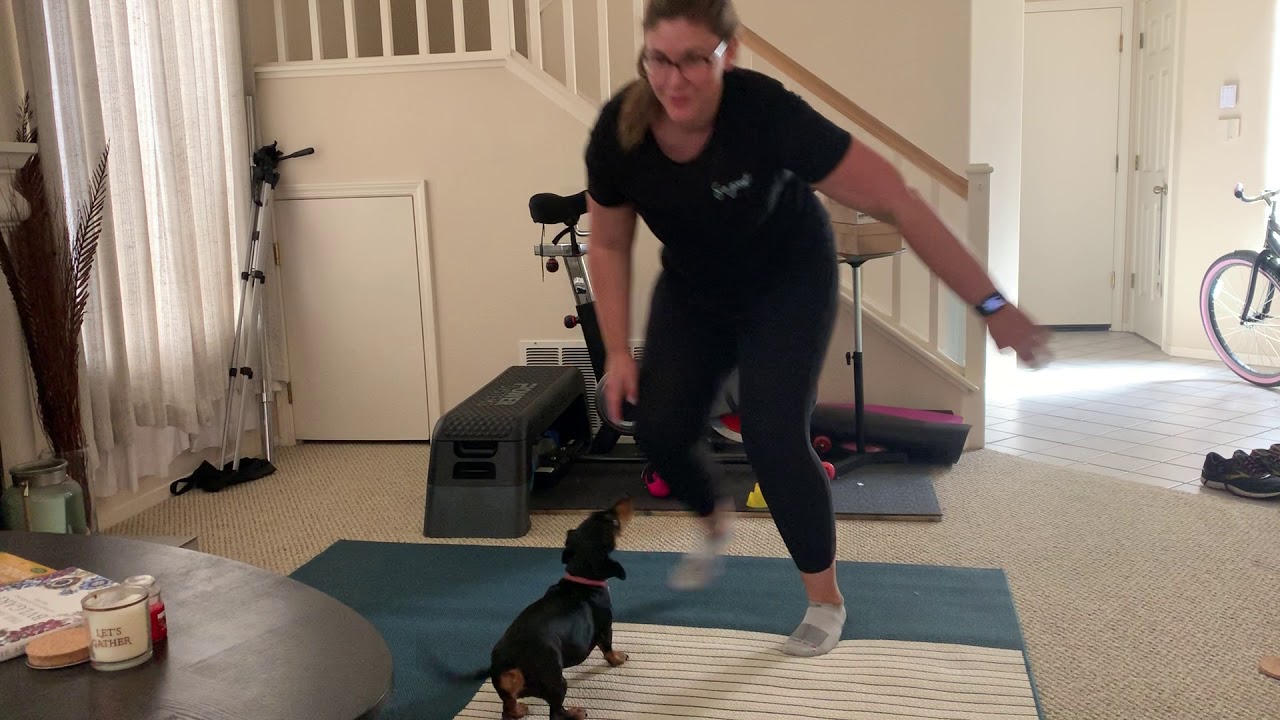 video phone beyonce mp3 BCF Skater