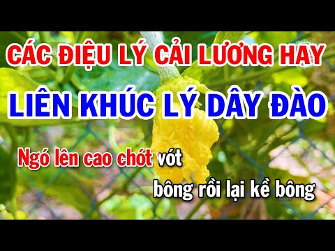 Video Liên Khúc Lý Dây Đào | Lý Cây Bông | Lý Con Khỉ | Lý... - youtube