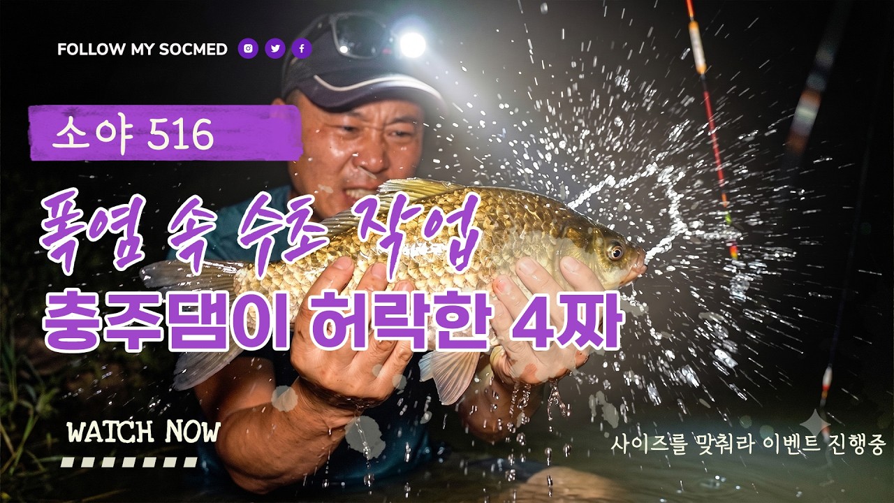 폭염 속 수초 작업  충주댐이 허락한 4짜