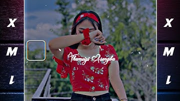 Thmoigi Asengba/Manipuri new song | Alight motion editing | Xml file📁link in description👇
