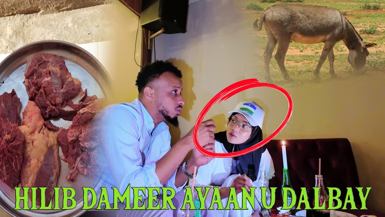 HILIB DAMEER  AYAAN U DALBAY MAQAAXID KENYAN AYAN AYAAN GEEYAY HAMDI