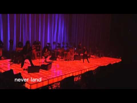 木村カエラ「never land」