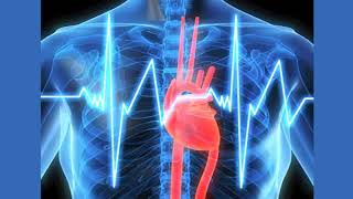L1: Quantitative Physiology II (1/15)