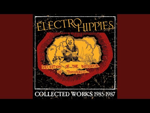 Electro Hippies — Terroreyes (Play Fast or Don't Split LP)