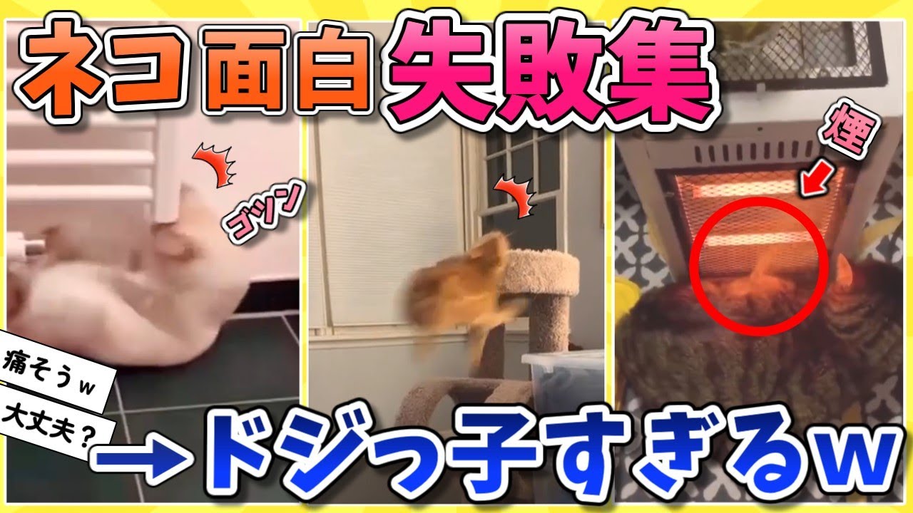 【2ch動物スレ】笑ったら負け！ネコのおもしろ失敗集、他