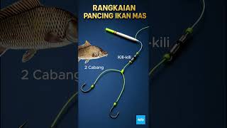 RANGKAIAN PANCING IKAN MAS 2 MATA KAIL
