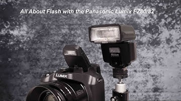 Panasonic Lumix FZ80/82 Getting Better Image Quality Part 9: Using Flash