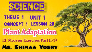 Plant  Adaptations | Science | Grade 4 | Unit1 | Concept 1 | Lesson 2 B | El_moasser Exercises  | P1