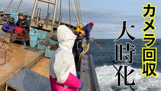 【水深75m】海が川だった。耐水40mのNEEWER水中ライトが優秀な件。~How to catch a crab~