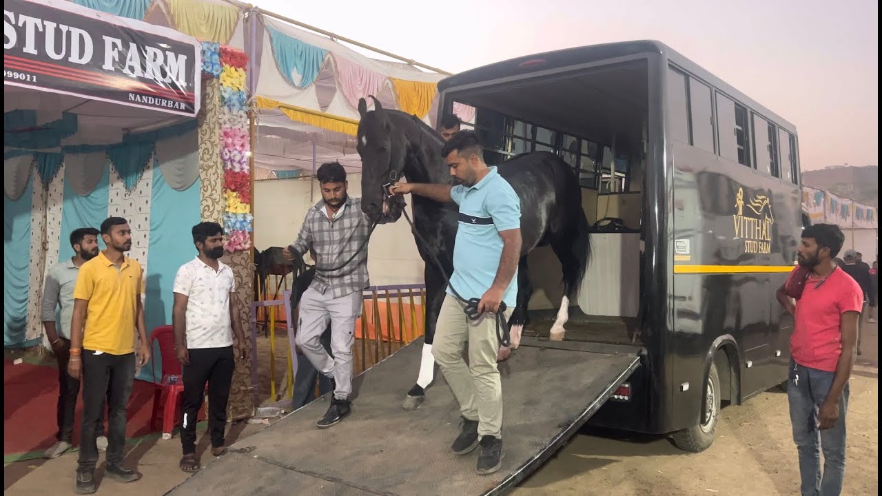 गुजरात का जागीरदार पहुँचा #सारंगखेड़ा में