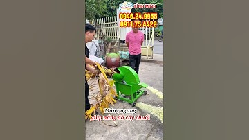 Máy Băm Chuối C600 Băm 200 Cây Chuối 1 Giờ, Tặng 3 Dao To Khi Mua Máy #maybamchuoi #maythaichuoi