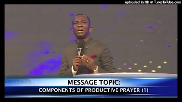Audio: Components of Productive Prayer - Dr Paul Enenche