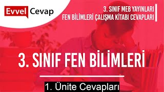 3. Sınıf Fen Bilimleri Çalışma Kitabı 1. Ünite Cevapları 3. Sınıf Fen Bilimleri Çalışma Kitabı 1. Ünite Cevapları