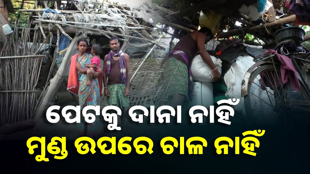ସୁଶାନ୍ତଙ୍କ କାନ୍ଧରେ ୩ ପ୍ରାଣୀ କୁଟୁମ୍ବଙ୍କ ବୋଝ, ମୂଲ ଲାଗିଲେ ପେଟକୁ ଯାଏ ଦାନା || Knews Odisha