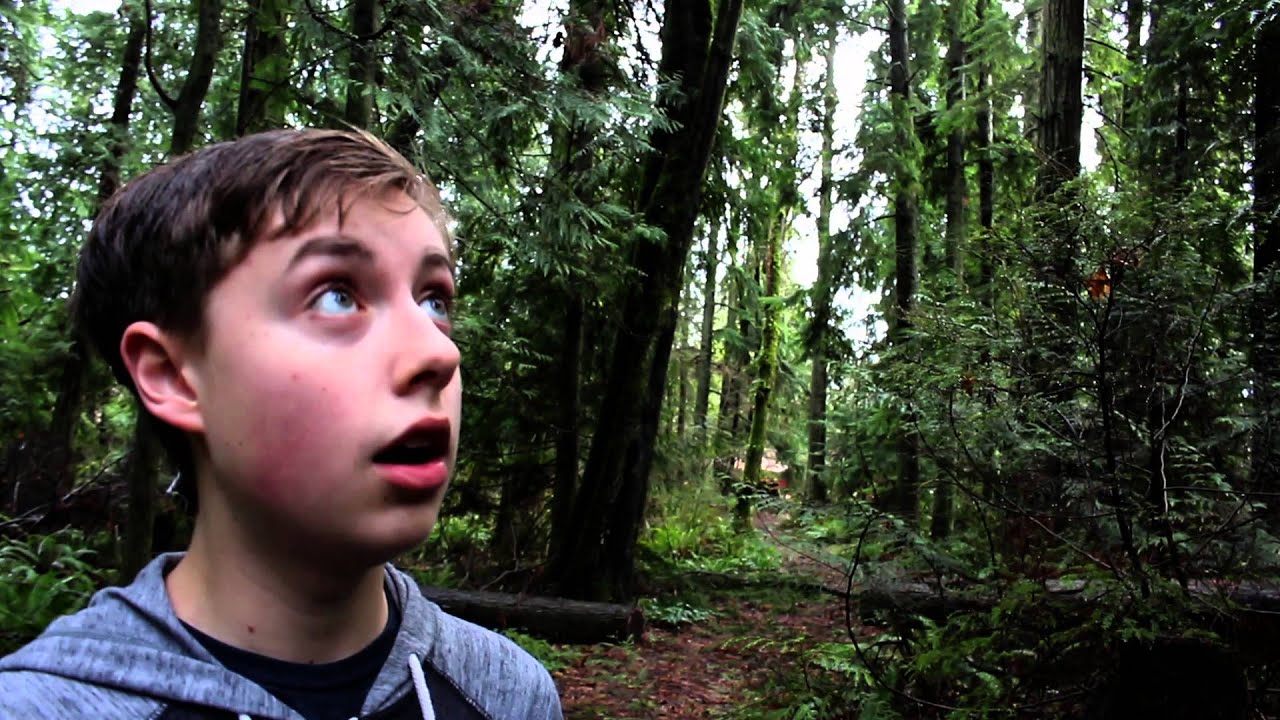 LORD OF THE FIES project 1