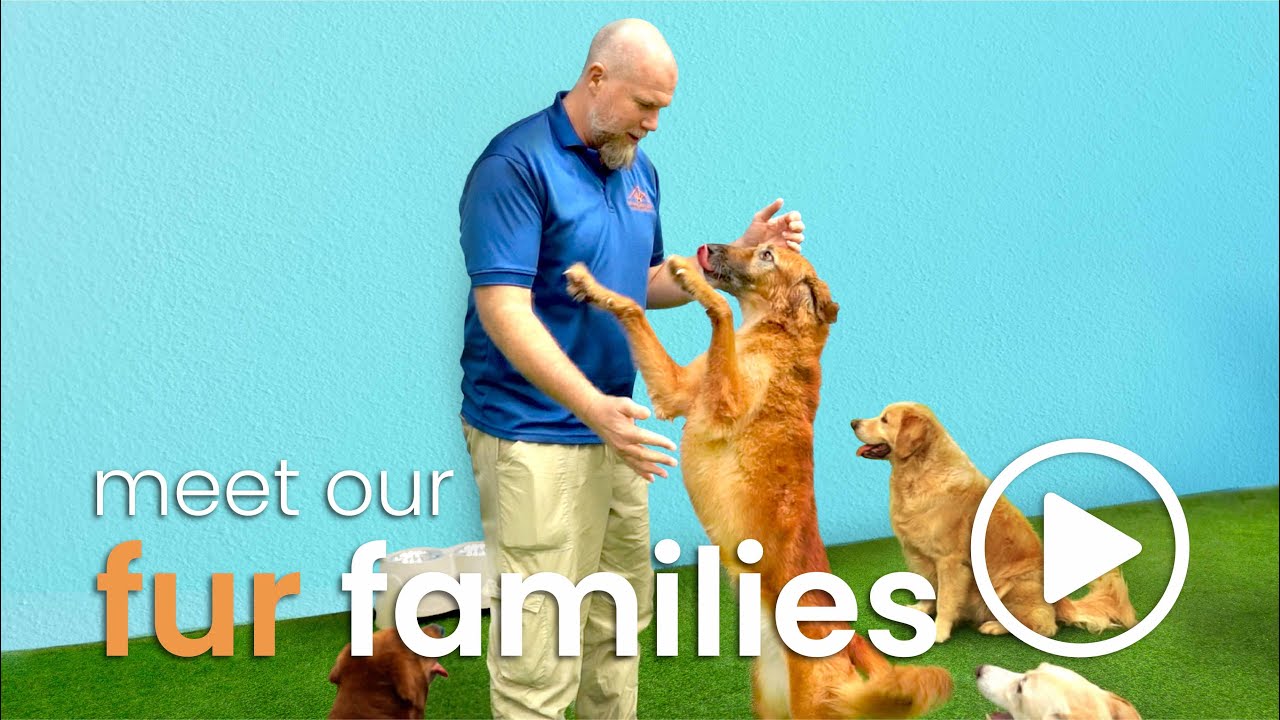 Personalised Advice & Savings on Veterinary Bills