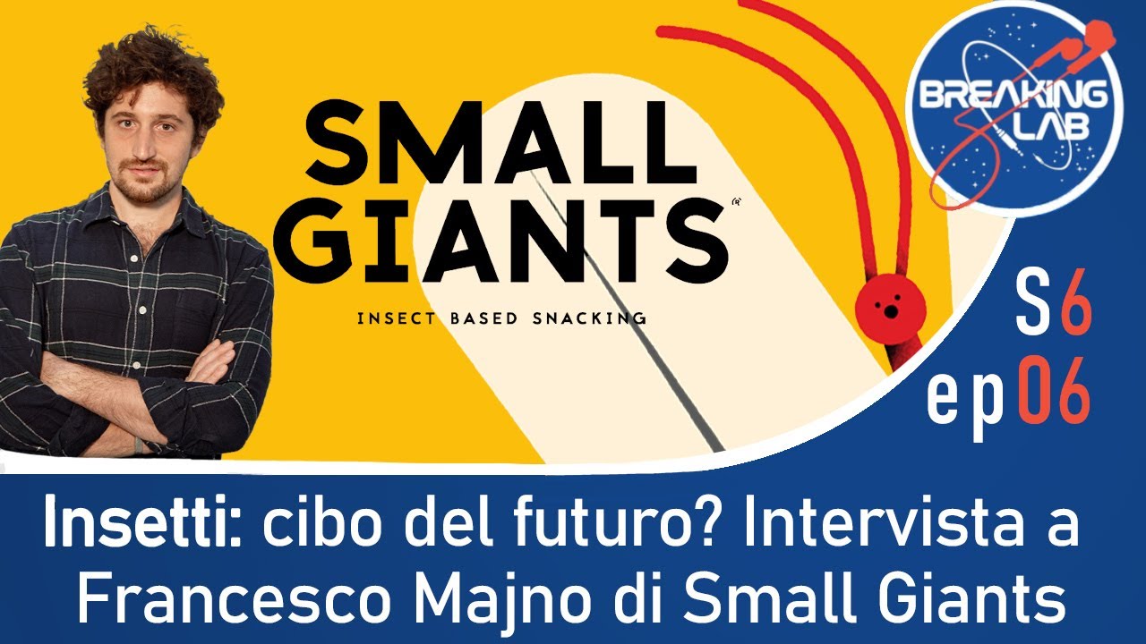 Mangiare CRACKER con la farina di GRILLI! | Intervista a Francesco Majno di Small Giants