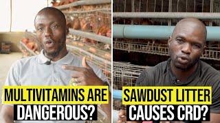 Exclusive 8 Ways To Accidentally Kill Your Chickens | Poultry Farming Profile