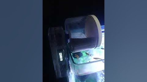 Arduino Fish Auto Feeder