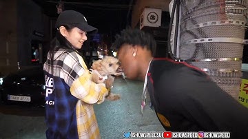 iShowSpeed Gets Bit In The Face During IRL Stream 💀
