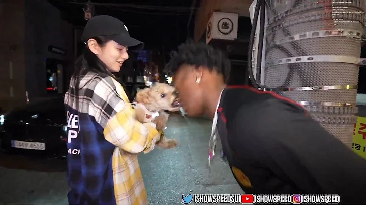 iShowSpeed Gets Bit In The Face During IRL Stream 💀