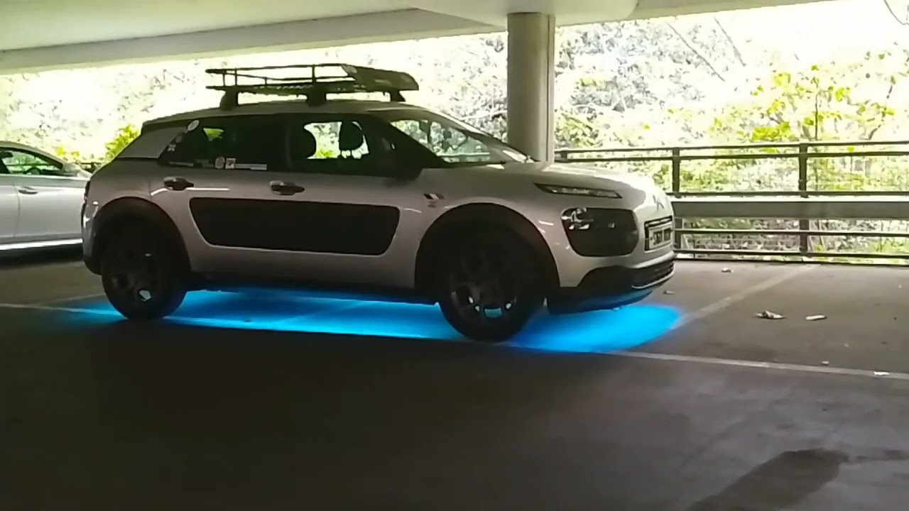 Latest Modification to the C4 Cactus
