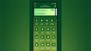 Celebrity BASIC Bank Mobile App Magpie Profile