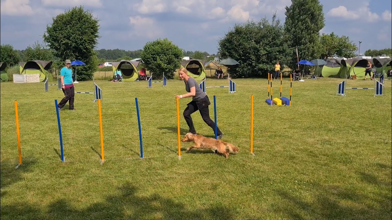Eep | 26.06.21 | Agility-Turnier Altona (A1)
