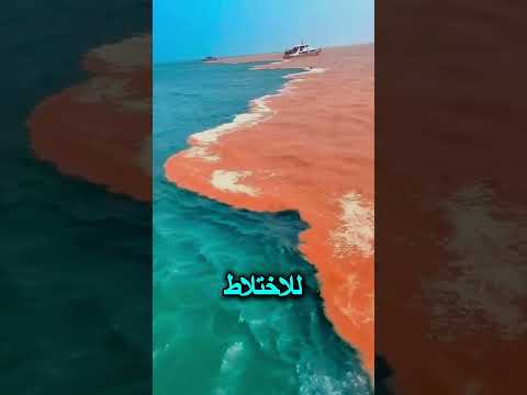 السر الخفي للمحيطات لماذا لا يمتزج الأطلسي والهادئ مشروعمربح ترند مشروع