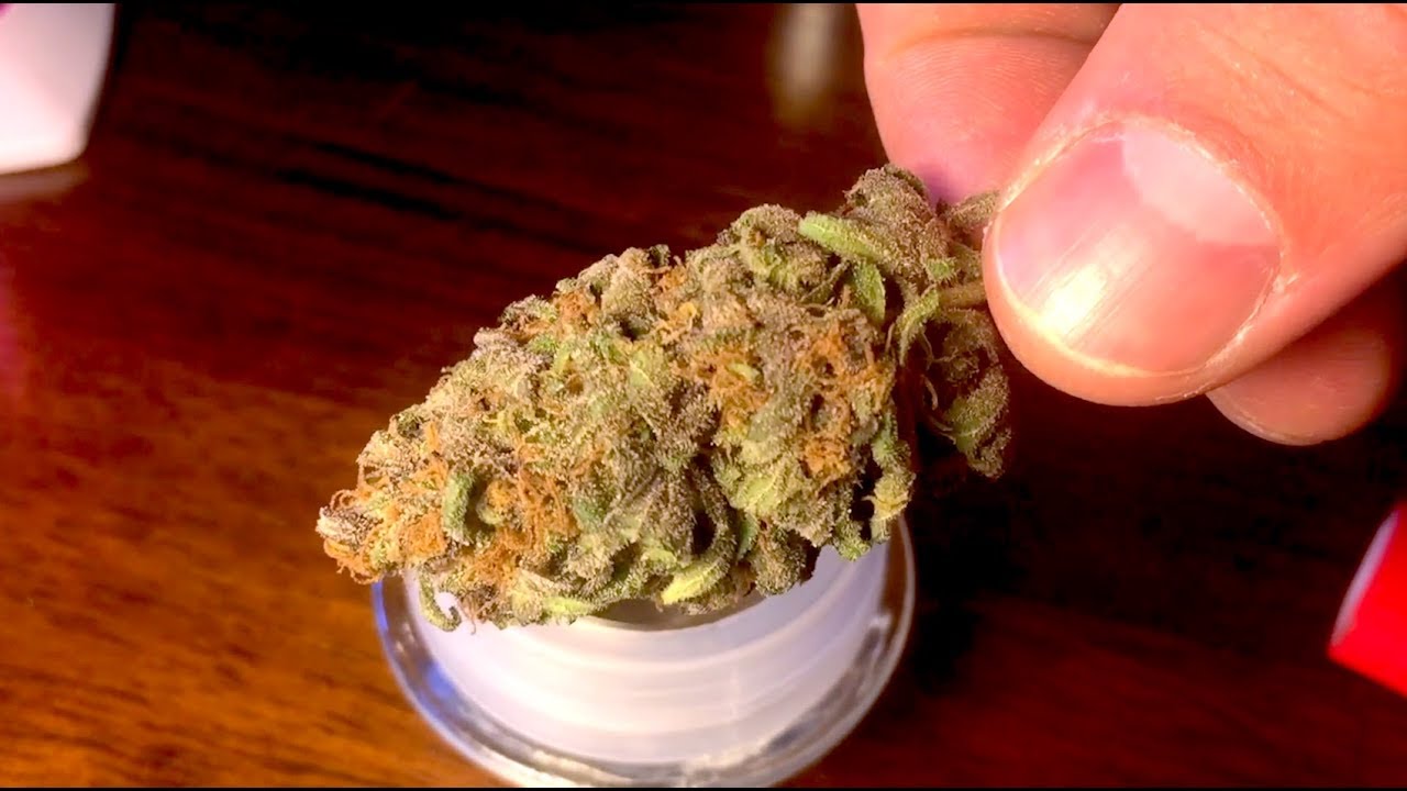 Smoking Homegrown Weed | Tangie Strain Review by GreenBox Grown