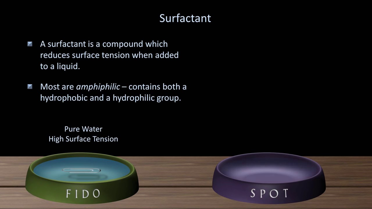 Surface Tension and Surfactant Fluid Mechanics Lesson 12 - YouTube