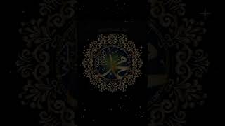 Download Lagu Wulidal Musyarrof ❤️❤️❤️ #shorts MP3