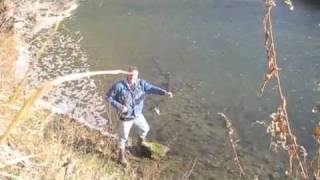 Rainbow Trout at The Natural Gait on Thanksgiving