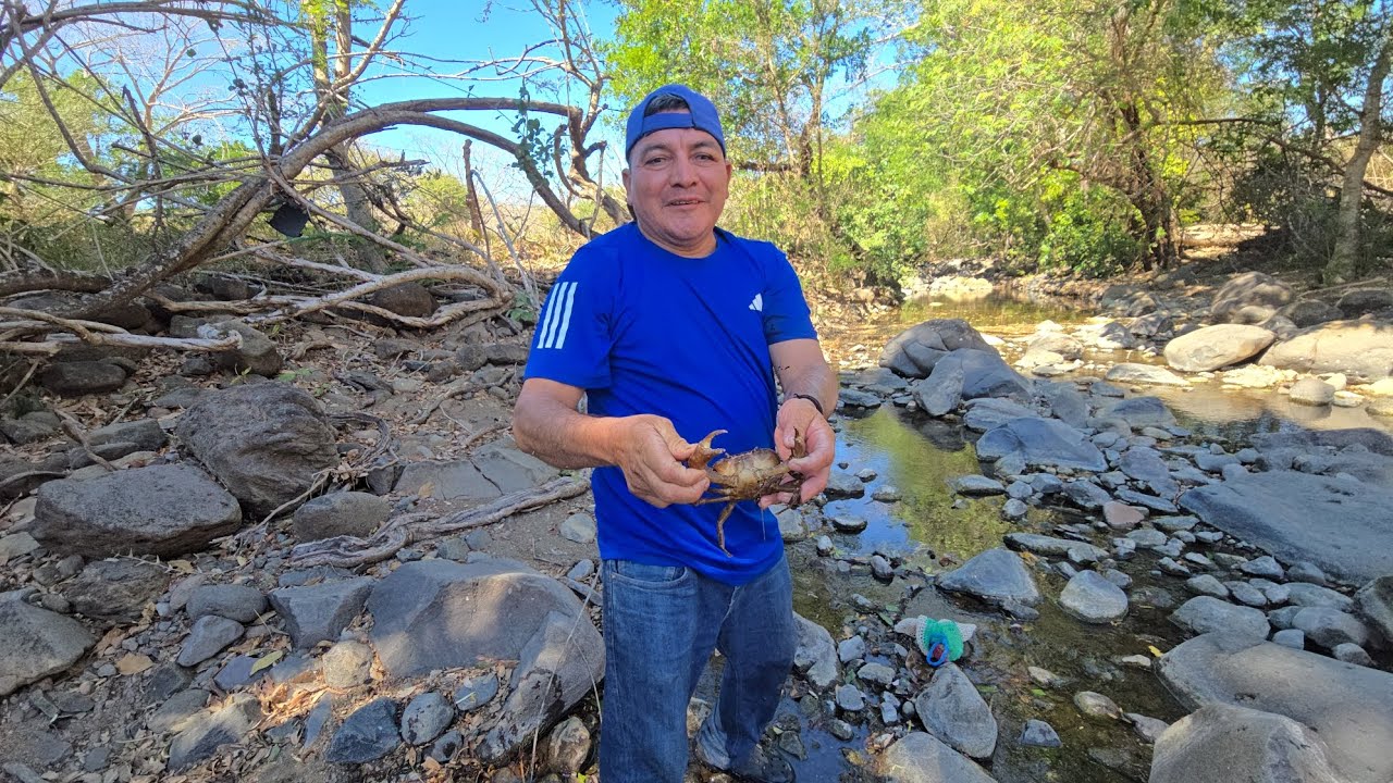 los benimos agarrar unos cangrejos para un amigo suscriptor 🦀🦀
