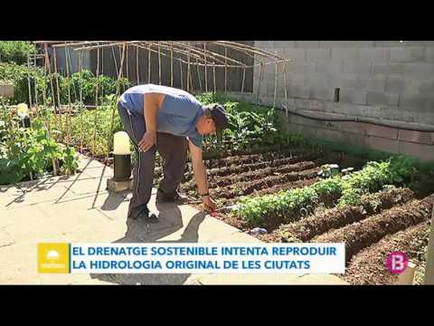 Vídeo: Els Beneficis Del Segó