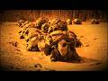 Military Motivation | Physical and Mental Strength Built Through Military Training.