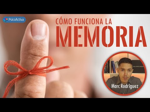 Video: ¿Cómo llega la información a la memoria?
