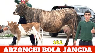 ARZONCHI BOLA NARXLAR BOMBA AKSIYA BOLASI BUQA 21.MILLION