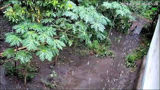 Gallery lama ✅Hujan Setahun yang Lalu