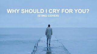 Why Should I Cry For You? - Sting (Lyric Video - cover by Tony Meade)