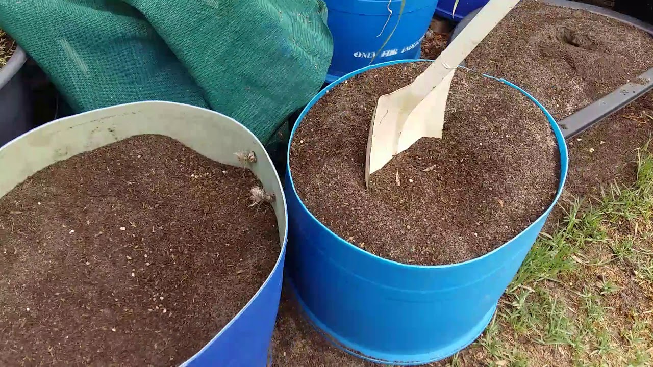 Building a no dig garden in my veggie garden - YouTube