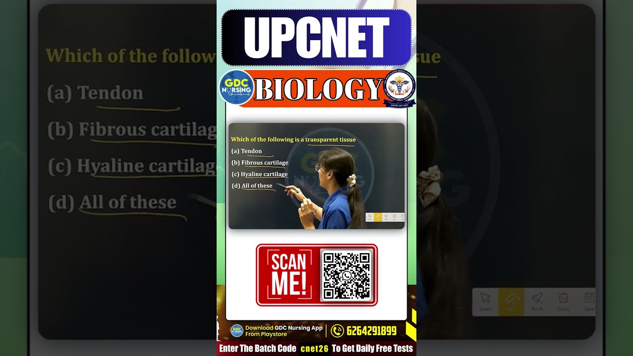 Which Of The Following Is A Transparent Tissue..........? 