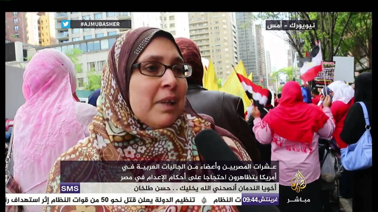 مصريون مقيمون في الولايات المتحدة يتظاهرون احتجاجا على أحكام الإعدام في مصر