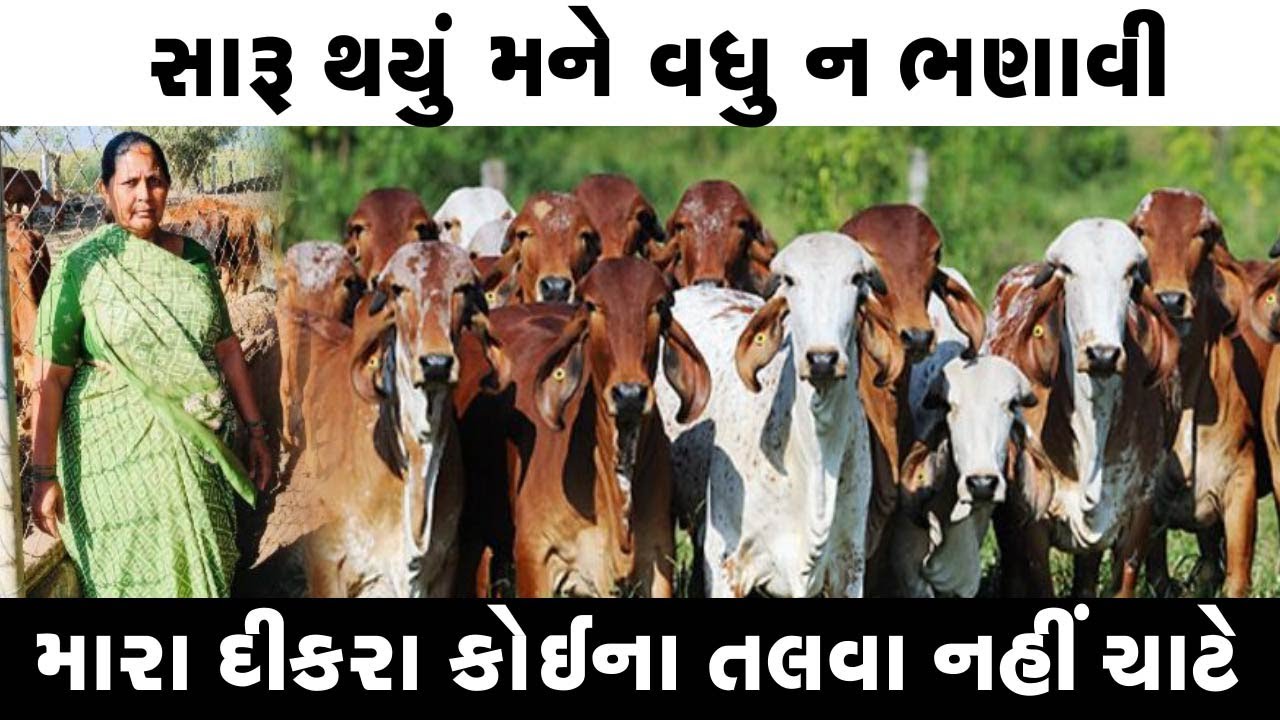 અમારે કોઈની ગુલામી કરવી નથી llમહિને લાખોની આવક અને માતા પુત્રની નવી રાહ ll ગામડાથી અમેરિકા સુધી ધંધો