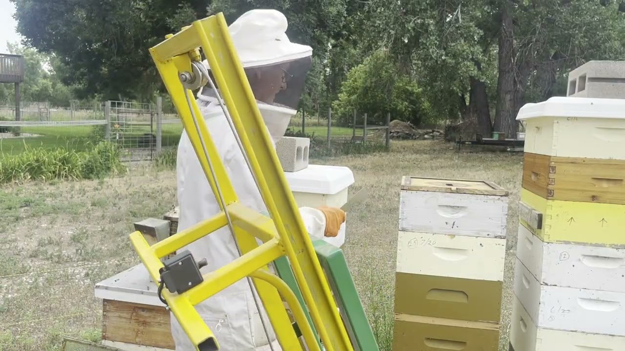 2025 Installing bee escapes with my home made hive lift 4.0 and weighing supers.