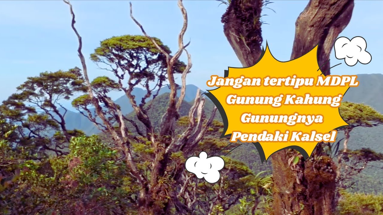 Pendakian Gunung Kahung | The Majestic of Meratus - Tanjakan Terjal Khas Hutan Tropis Kalimantan