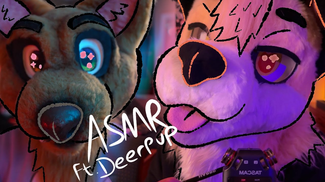 This is the greatest Furry ASMR Collab EVER... ft. @DeerpupASMR